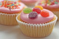 Patisserie - Bakery - Cakes