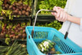 Wholesale - Fruit Market - Fruit & Veg