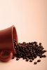 Cafe   -   Deli   -   Catering